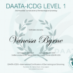 DAATA-ICDG Level 1