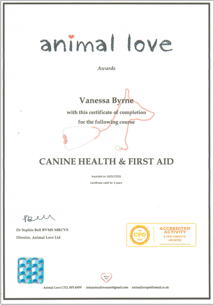 Pet First Aid at Work